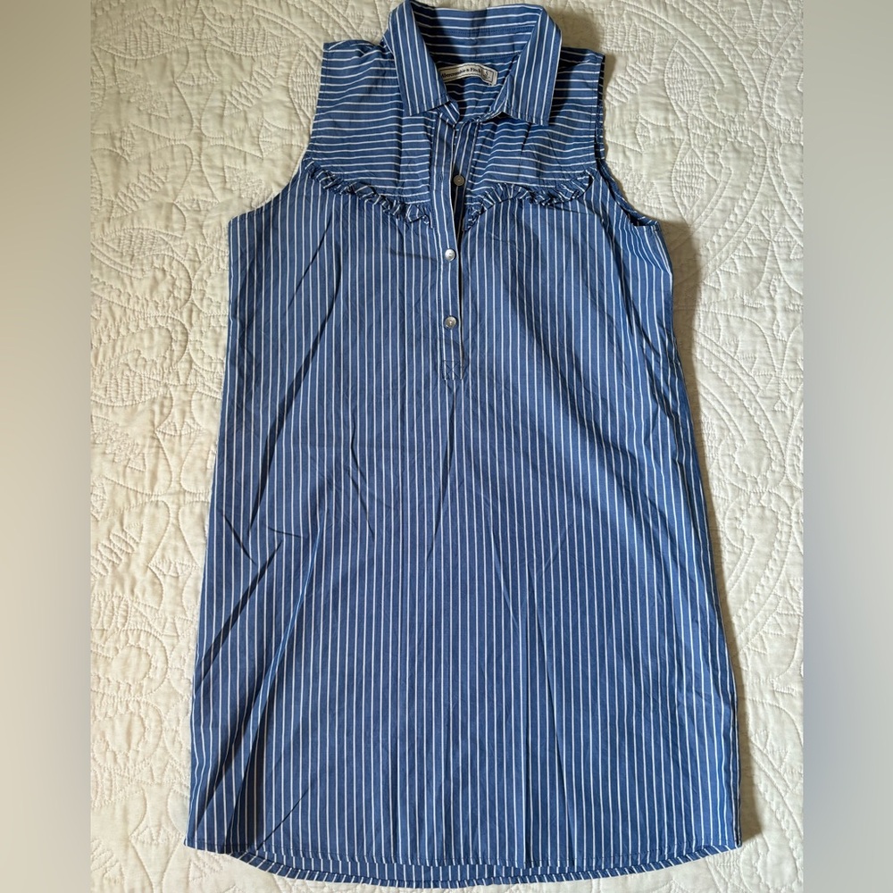 Abercrombie & Fitch Blue and White Striped Dress